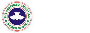 light logo